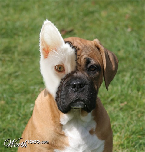 Photoshop Design by Larssonpsd