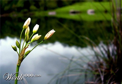 Photography by jetlag4321