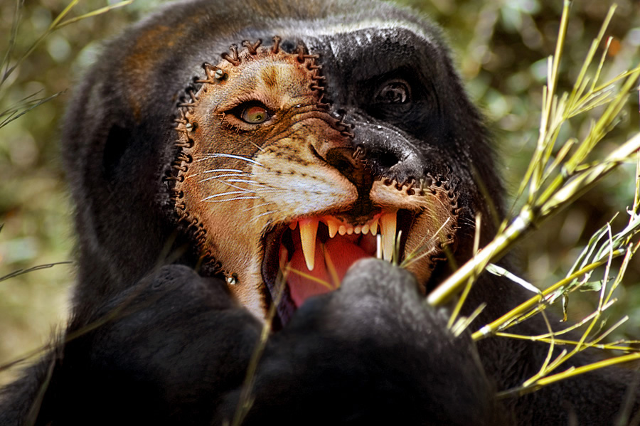 Photoshop-Design von Petrosini für DesignCrowd (Community Contests) | Design #8943000