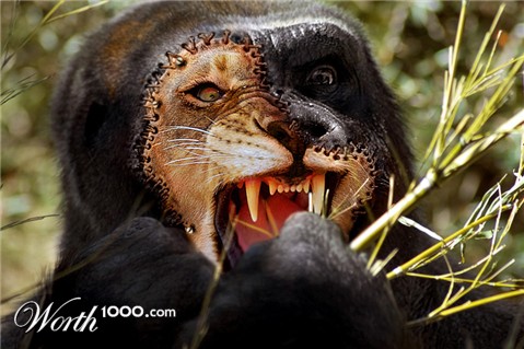 Photoshop Design by Petrosini