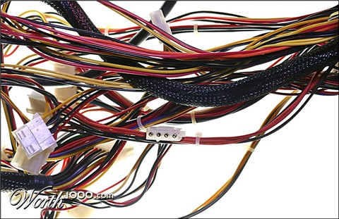 Photography by TyChO