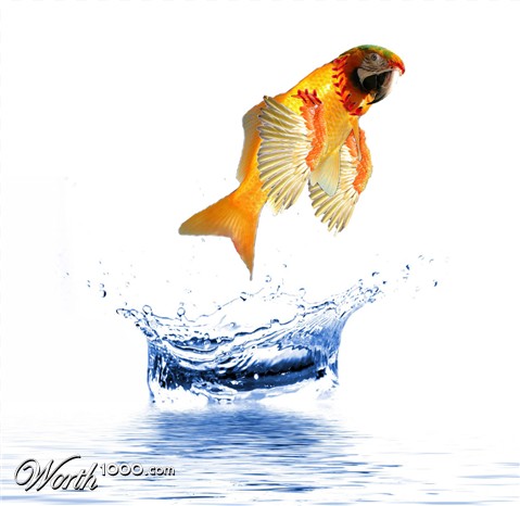 Photoshop Design by Mordey