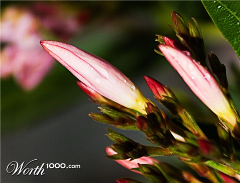 Photography by JHTheisen