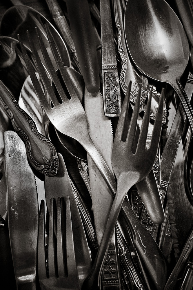 Photography by ELBradenabra for DesignCrowd (Community Contests) | Design #8947272