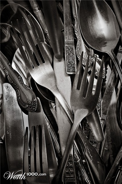 Photography by ELBradenabra