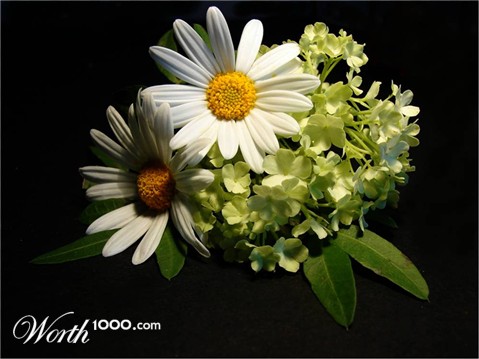 Photography by Berilu