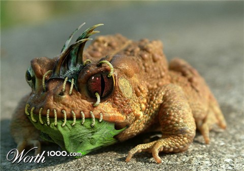 Photoshop Design by Justincorkum7