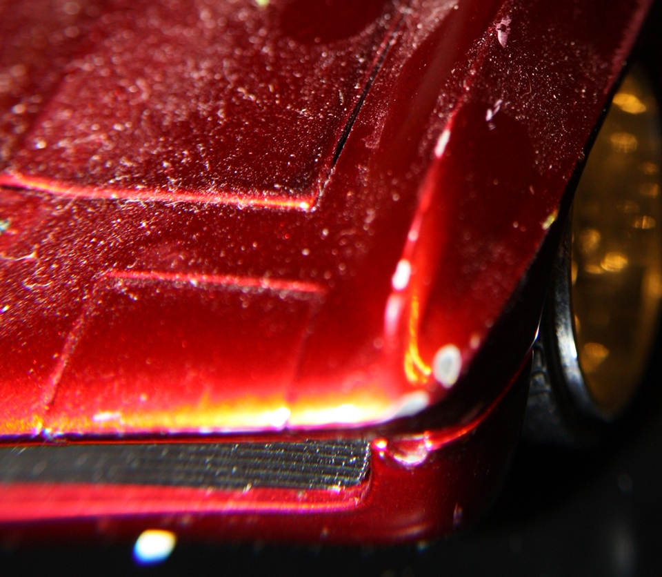 Photography by cassnorton for DesignCrowd (Community Contests) | Design #8945883