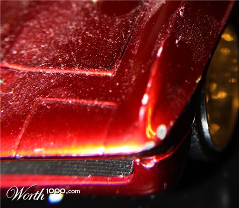 Photography by cassnorton