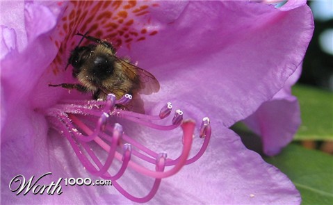 Photography by ananon