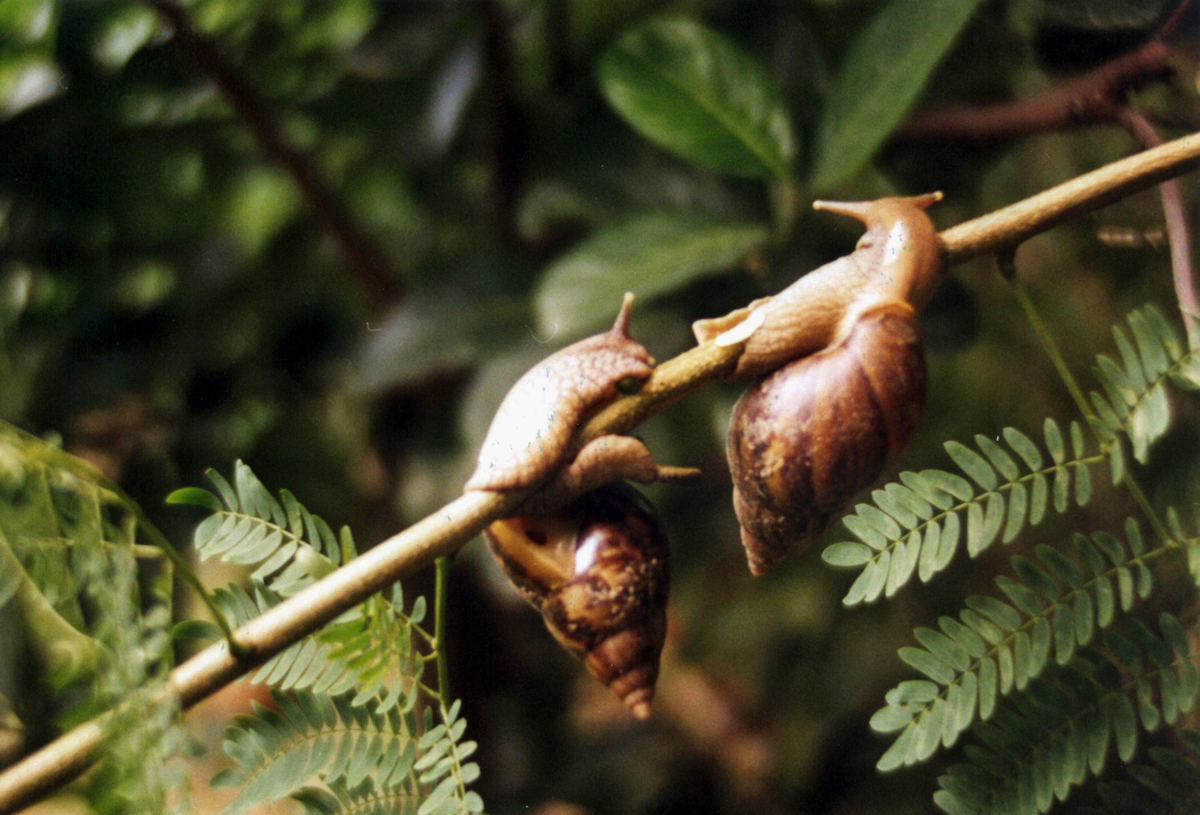 Photography by vgmn1956 for DesignCrowd (Community Contests) | Design #8943870