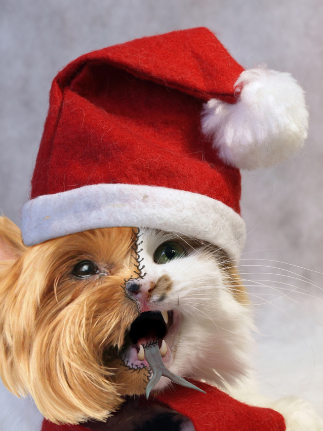 Photoshop-Design von Qofcheez für DesignCrowd (Community Contests) | Design #8943014