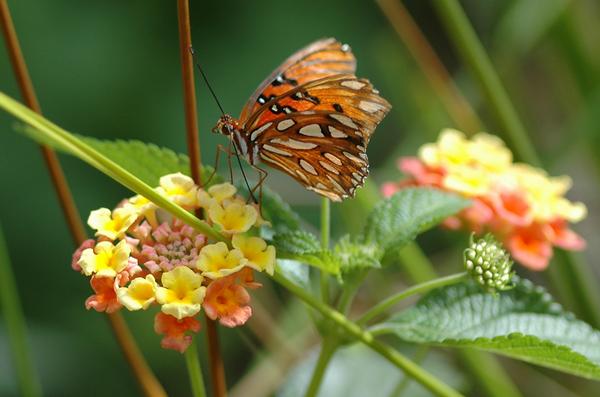 Photography by Destil for DesignCrowd (Community Contests) | Design #8945754