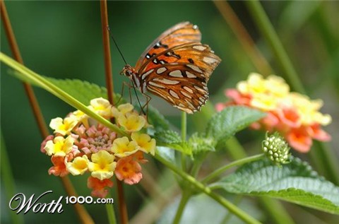 Photography by Destil