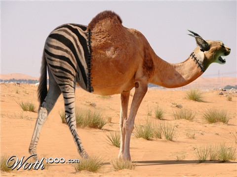 Photoshop Design by Zebulba76