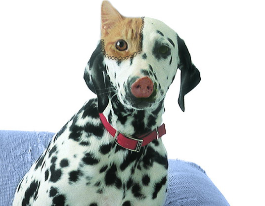 Photoshop Design by JamesCroft for DesignCrowd (Community Contests) | Design #8943065