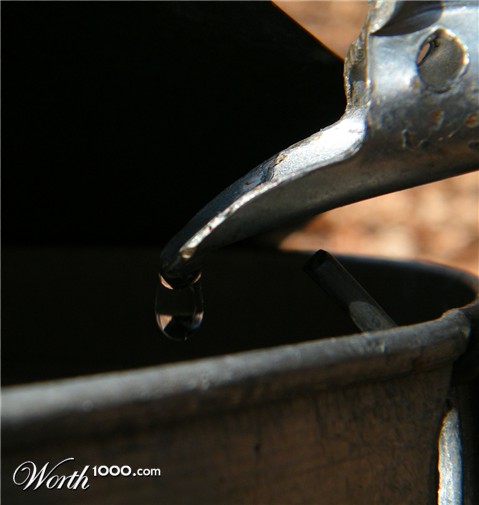 Photography by spincast1123