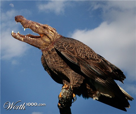 Photoshop Design by hezijacob