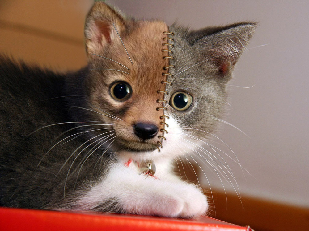 Design Photoshop par underworth pour DesignCrowd (Community Contests) | Design #8943097