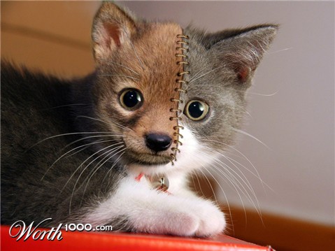 Photoshop Design by underworth