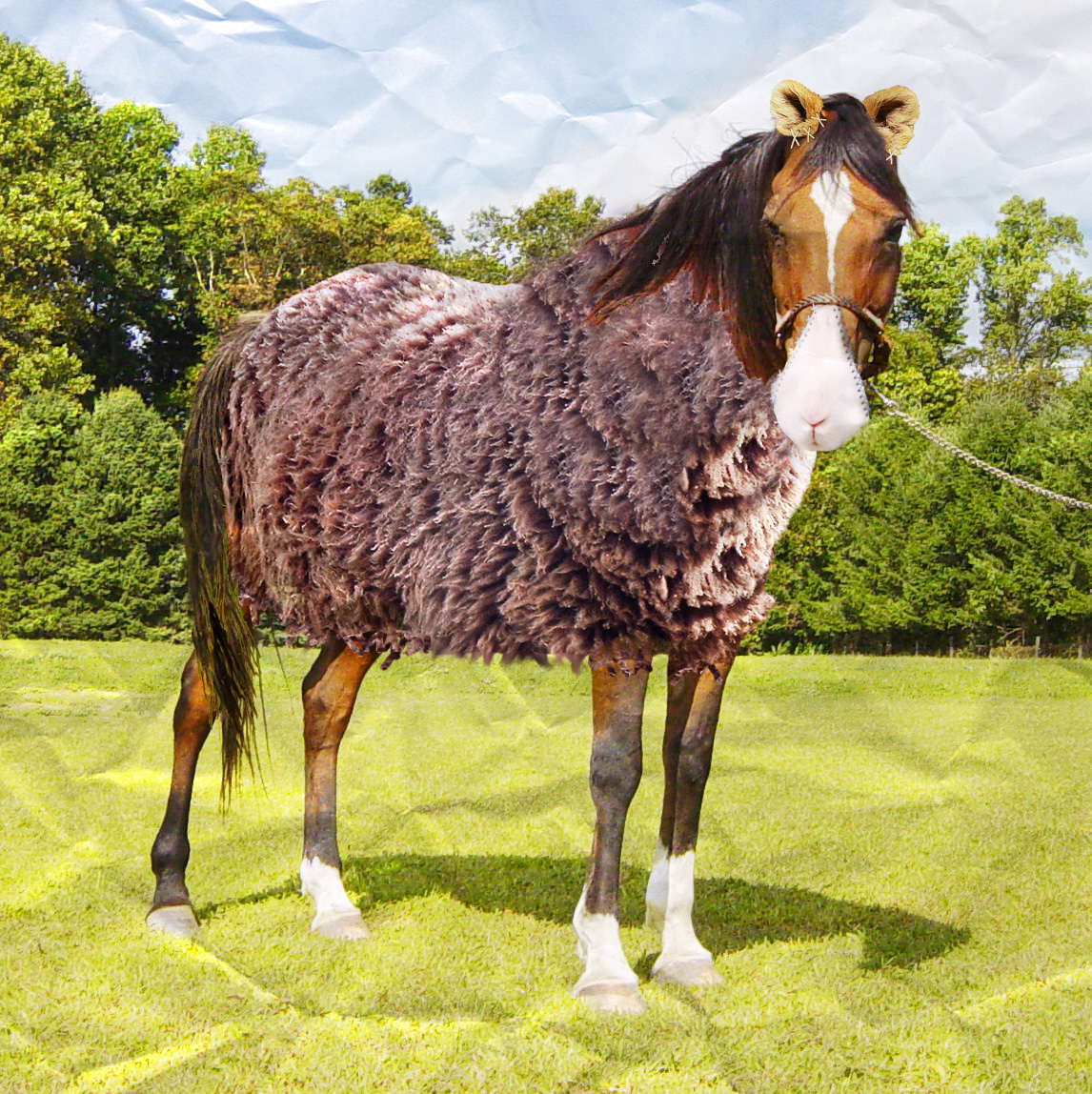 Diseño de Photoshop por elenapetrowa para DesignCrowd (Community Contests) | Diseño #8943145