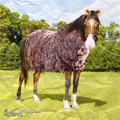 Photoshop Design by elenapetrowa