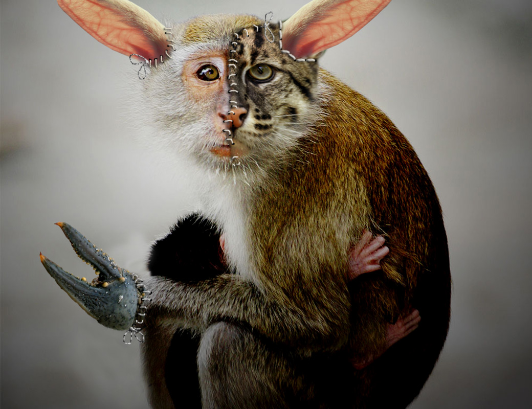 Photoshop Design by Terrence for DesignCrowd (Community Contests) | Design #8943071