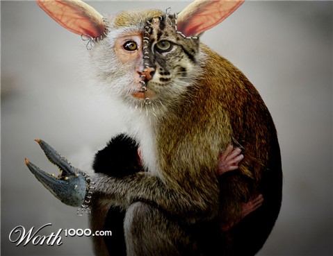 Photoshop Design by Terrence