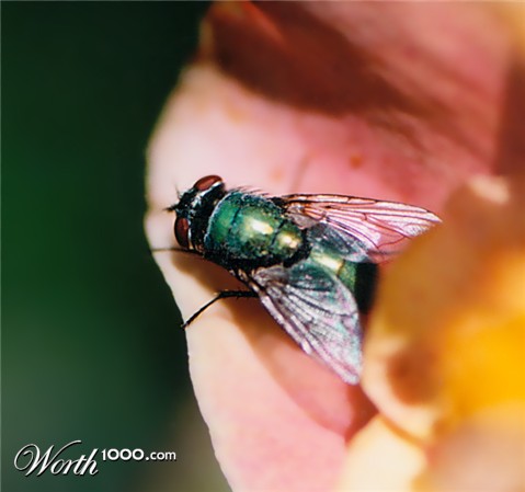 Photography by marcopolo23