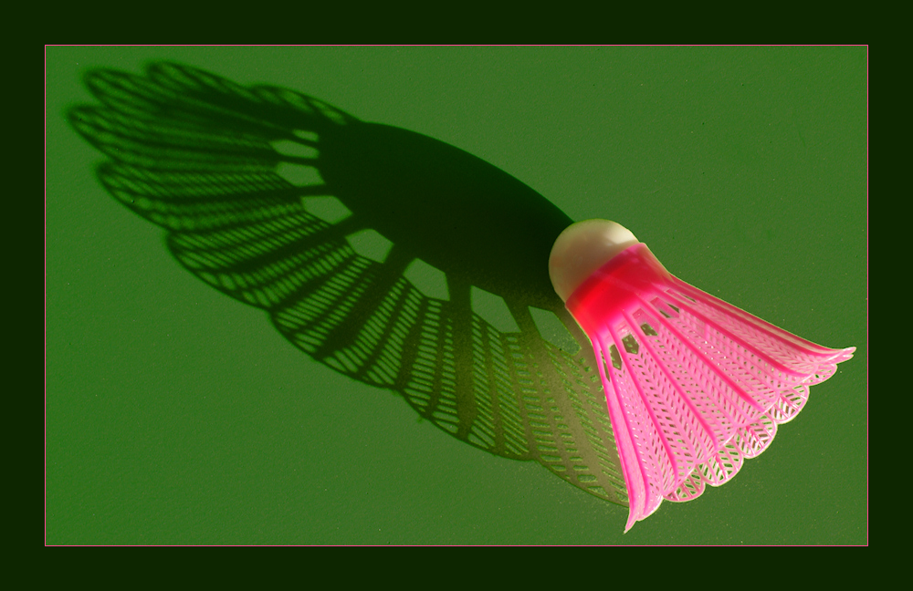 Photography by Francoise for DesignCrowd (Community Contests) | Design #8942523