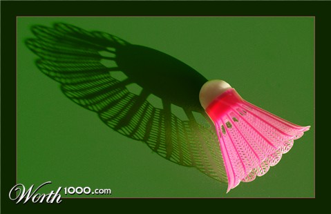 Photography by Francoise