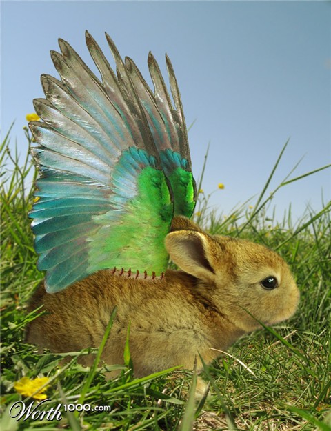 Photoshop Design by pyziutek