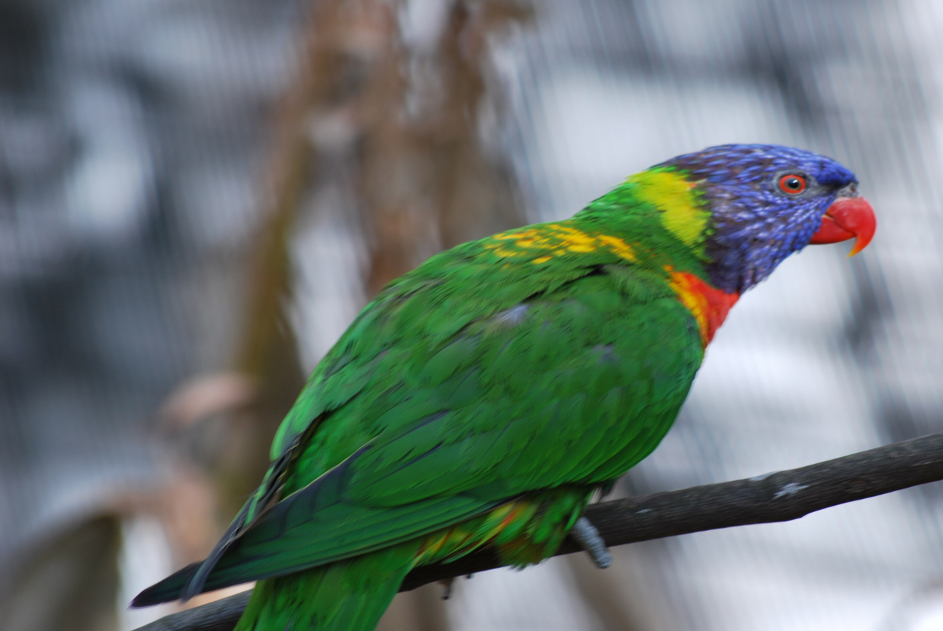 Photography by static83 for DesignCrowd (Community Contests) | Design #8946769