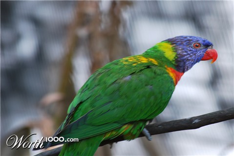 Photography by static83