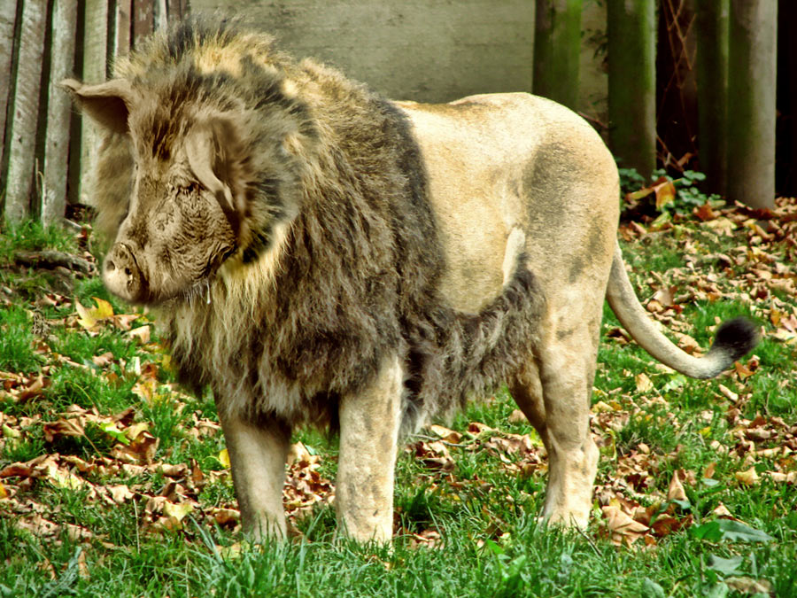 Photoshop Design by Trash63 for DesignCrowd (Community Contests) | Design #8943162