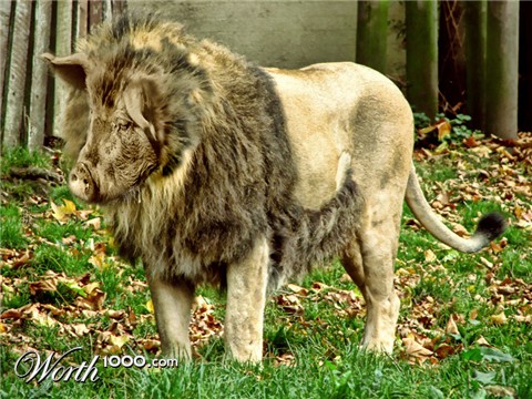 Photoshop Design by Trash63