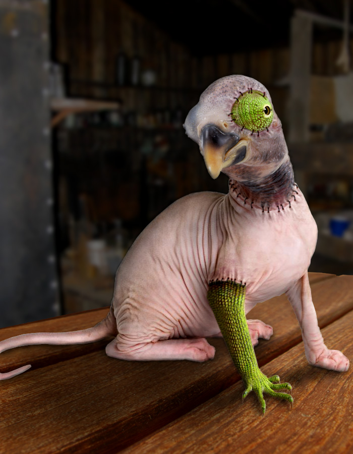 Diseño de Photoshop por Kleston para DesignCrowd (Community Contests) | Diseño #8943151