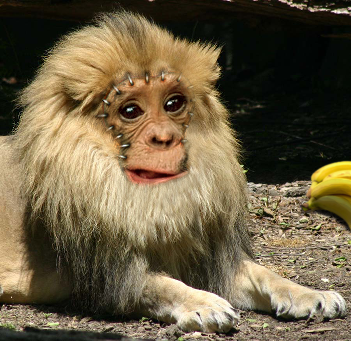 Design Photoshop par Zakfuego pour DesignCrowd (Community Contests) | Design #8943084