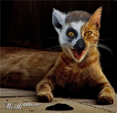 Photoshop Design by YearoftheDragon