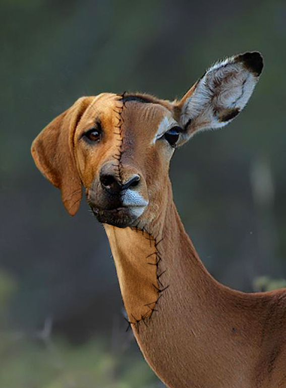 Diseño de Photoshop por Mandrak para DesignCrowd (Community Contests) | Diseño #8943192