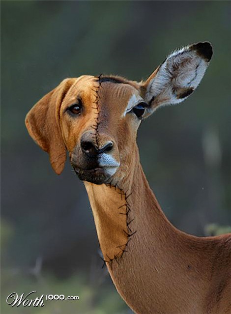 Photoshop Design by Mandrak