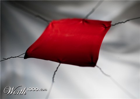 Photography by lineus