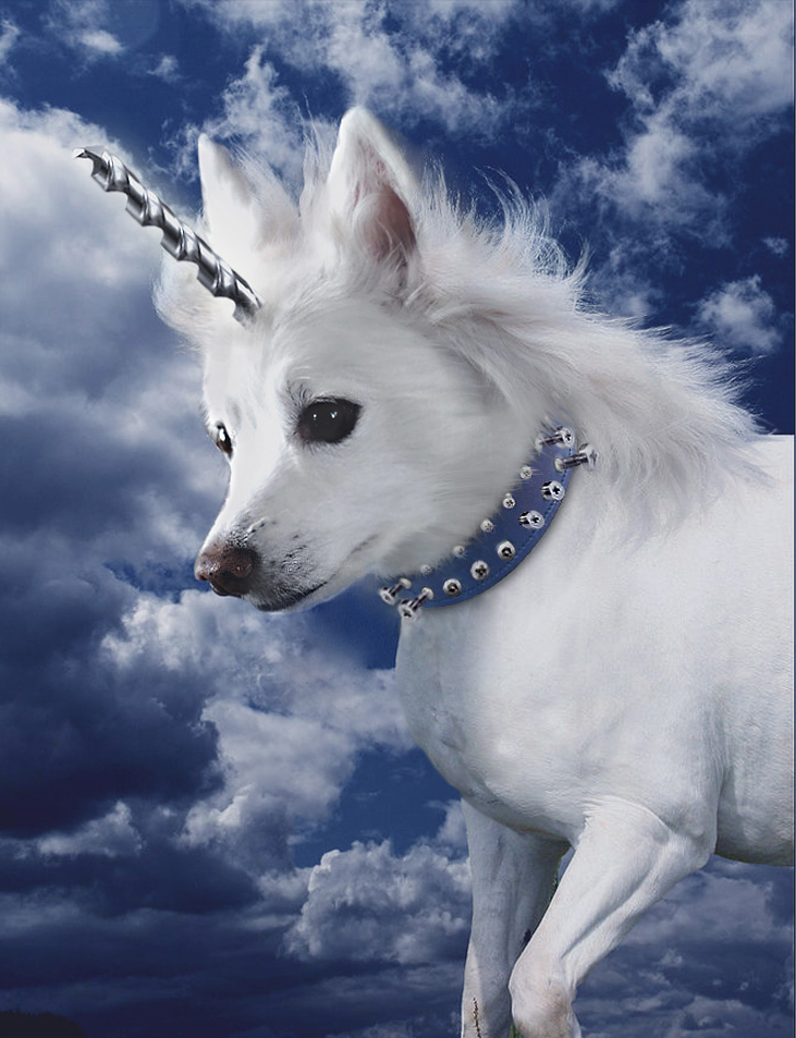 Design Photoshop par aards2 pour DesignCrowd (Community Contests) | Design #8943200