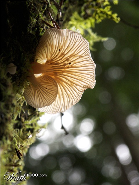 Photography by crattay21cuc