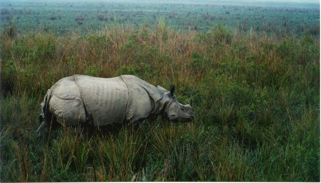 Photography by vgmn1956 for DesignCrowd (Community Contests) | Design #8940700