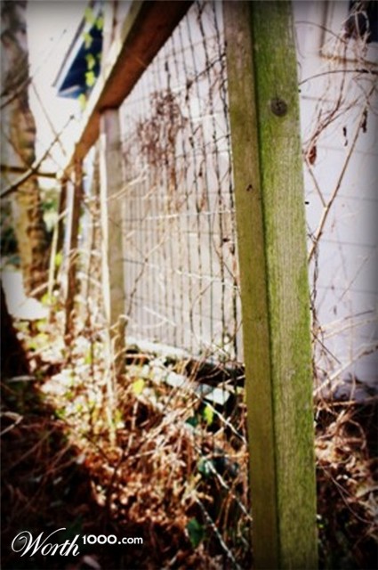Photography by kallih