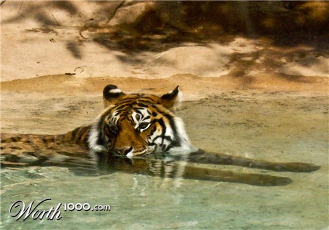 Photography by dpk100