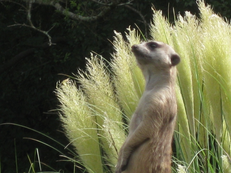 Photography by joshmom for DesignCrowd (Community Contests) | Design #8940774