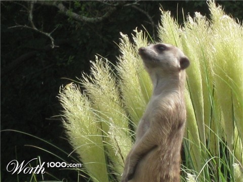 Photography by joshmom