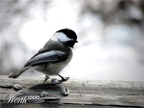 Photography by pwis0807